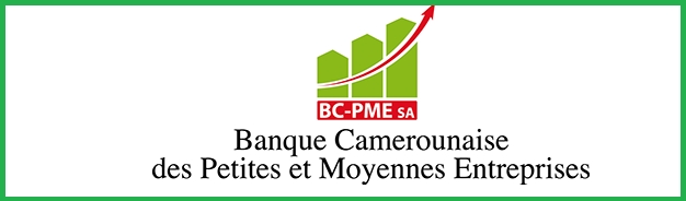 Depuis 2016, la Banque camerounaise des PME affiche un résultat net négatif