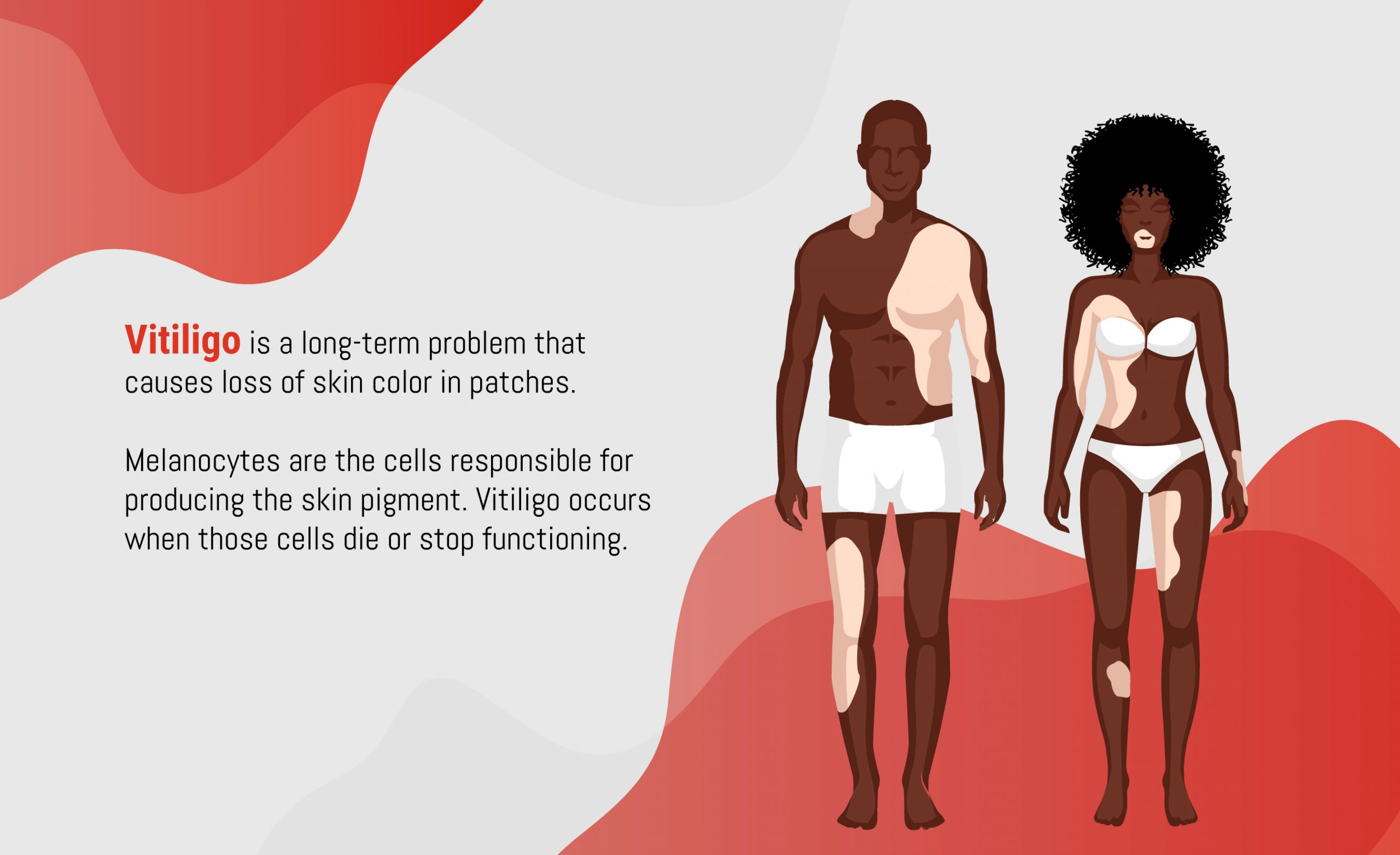 L’Oreal lance l’édition 2020  de sa bourse africaine de recherche cheveux & peau  et son site web dédié