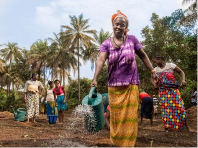 Guinée : UMS scelle un partenariat avec l’ONG Evolution pour l’autonomisation  des communautés agricoles