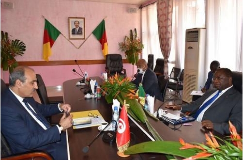 Le projet de liaison aérienne directe entre la Tunisie et le Cameroun fait l’objet d’une nouvelle réflexion