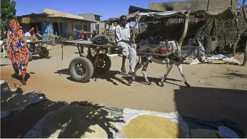 Soudan: la situation sécuritaire et humanitaire au Darfour reste préoccupante