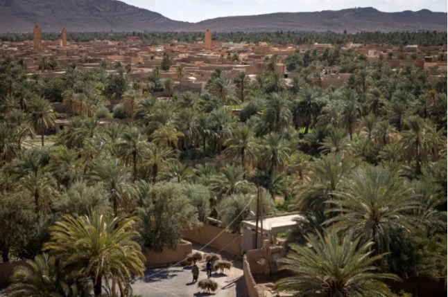 L’oasis de Figuig, « victime » des tensions entre le Maroc et l’Algérie