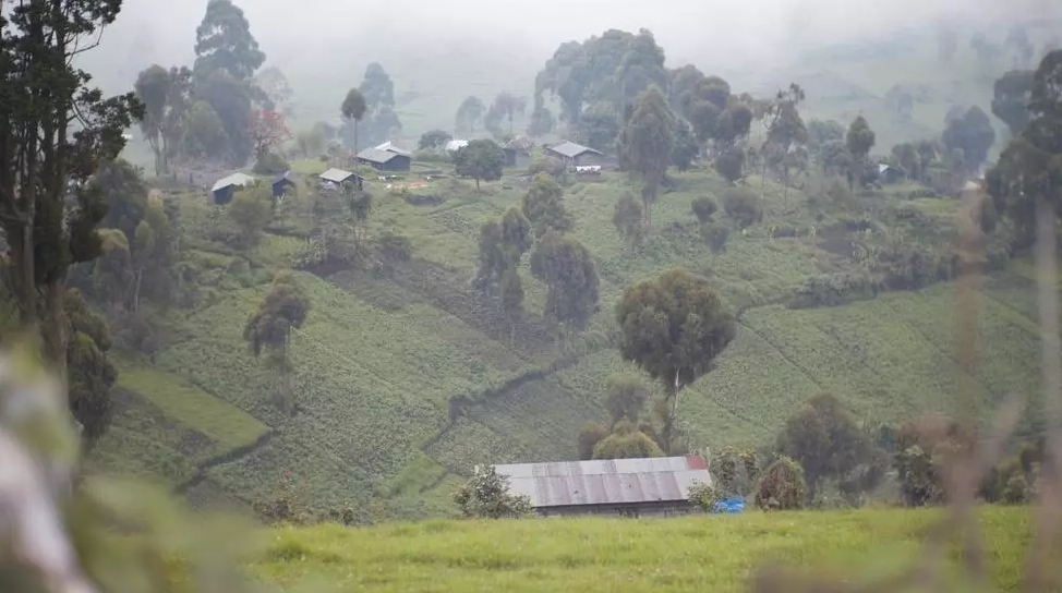 RDC: six kidnappeurs présumés lynchés par la population dans le Nord Kivu