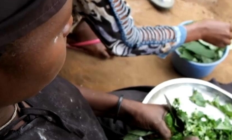 Mozambique : des déplacés bravent l’insécurité pour pouvoir se nourrir