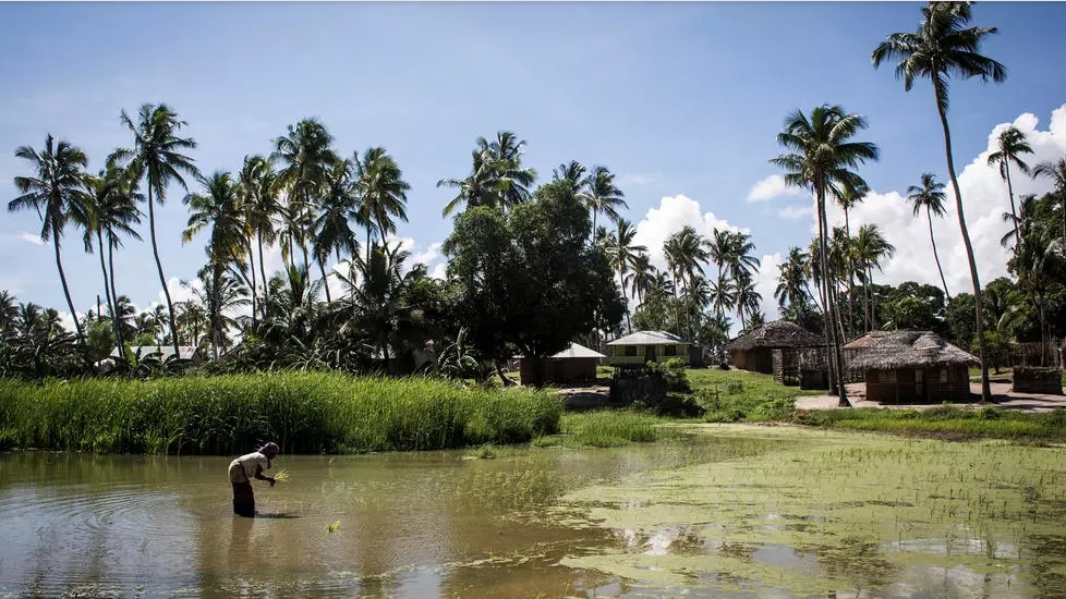 Mozambique: la ville de Palma en cours d’évacuation après l’attaque jihadiste meurtrière