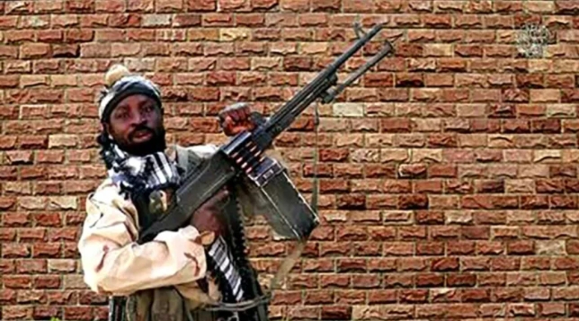 Au Nigeria, le chef de Boko Haram « grièvement blessé »