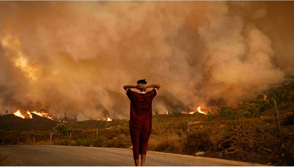 Incendies en Algérie: le gouvernement cherche des coupables chez les indépendantistes