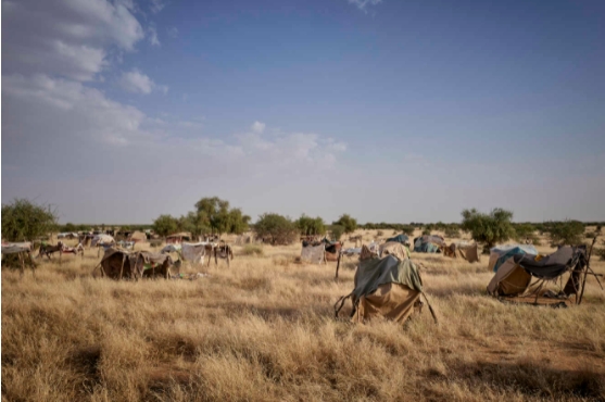 Attaque de civils au Mali : la population terrorisée par des groupes djihadistes