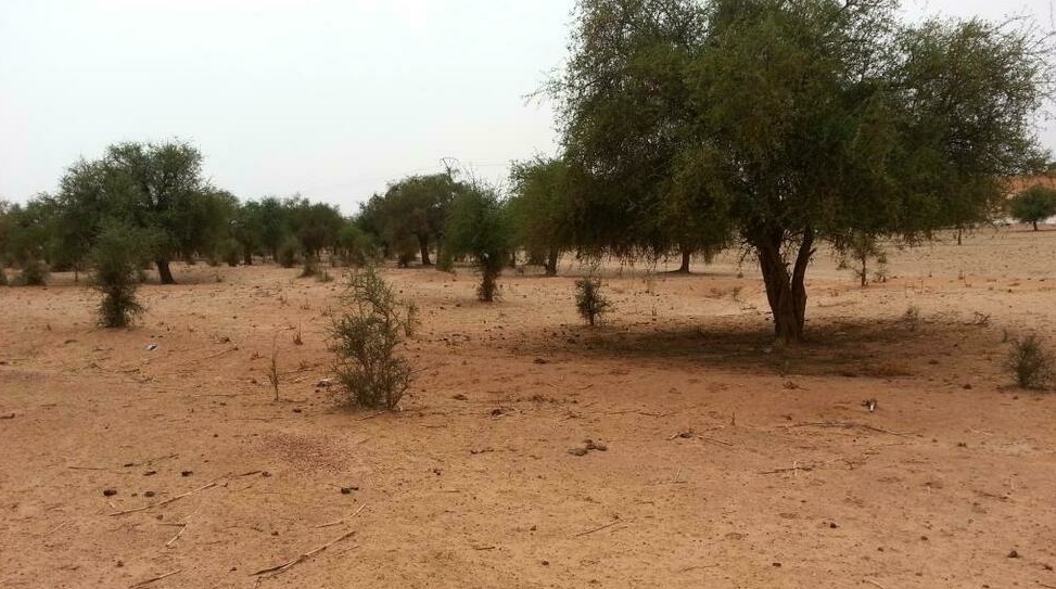 Terrorisme au Niger: le président Bazoum à Tillabéry avec les personnes revenues au village