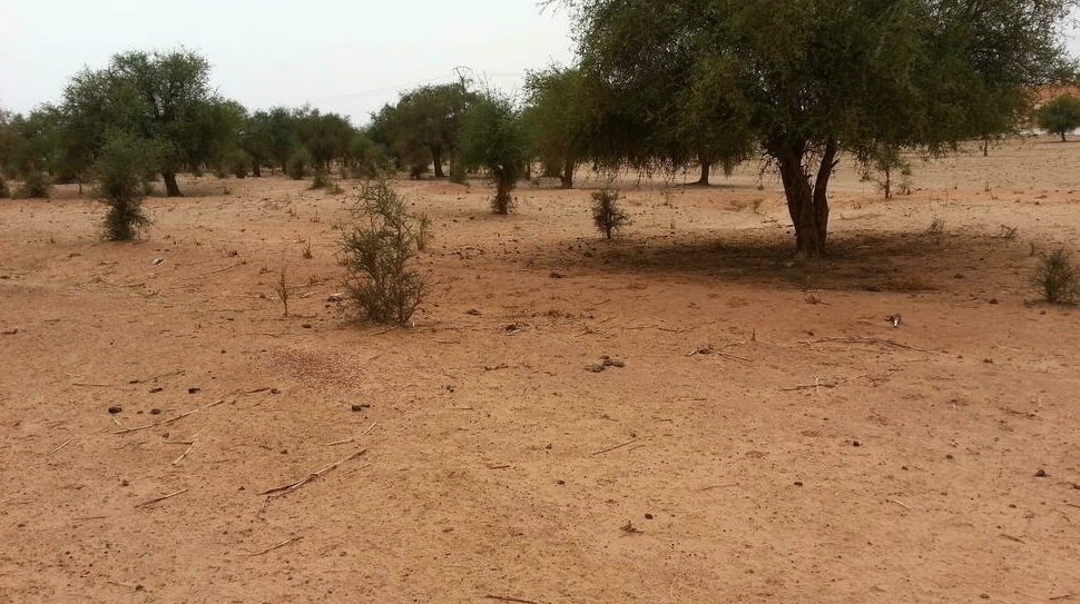 Niger: attaque d’un poste de police à la frontière du Burkina Faso