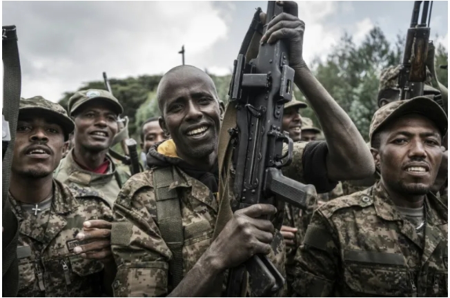 la prise d’Addis Abeba, « une question de mois, si ce n’est de semaines » (rebelles oromo)