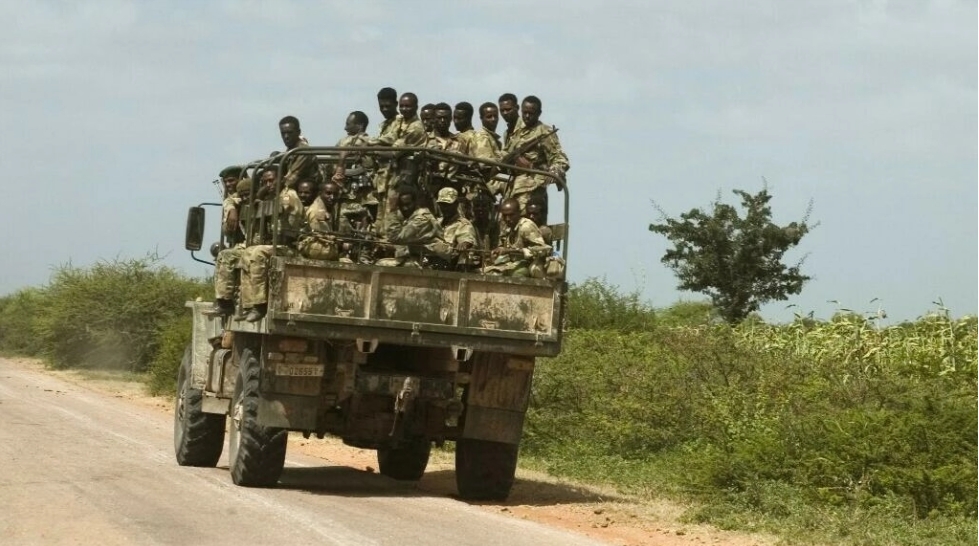 L’Éthiopie se prépare à une guerre totale face aux avancées des forces rebelles du Tigré