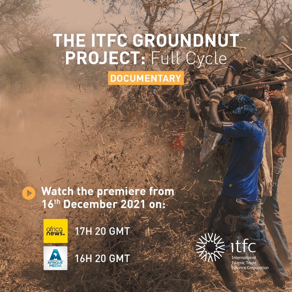 L’ITFC lance une série documentaire de 4 épisodes sur le secteur de  l’arachide au Sénégal