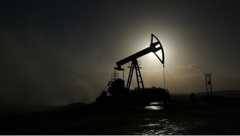Le Nigeria invite la Turquie à investir dans le pétrole et le gaz sur son territoire