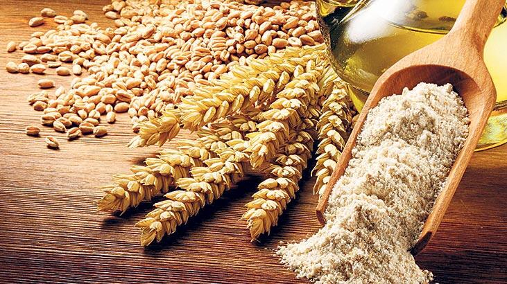 EGYPTE : Le gouvernement souhaite réduire les importations de blé
