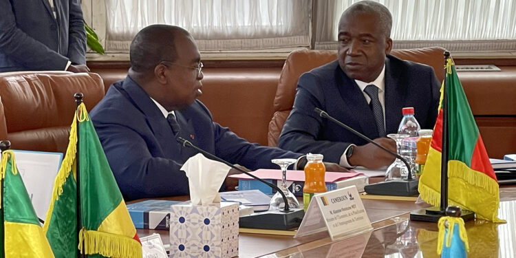 Dieudonné Evou Mekou installé à la tête de la BDEAC malgré le rejet du Tchad