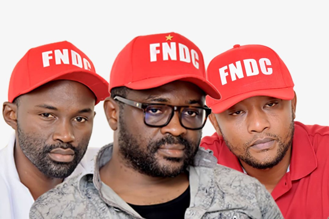 Guinée-Conakry : trois responsables du FNDC placés sous mandat de dépôt