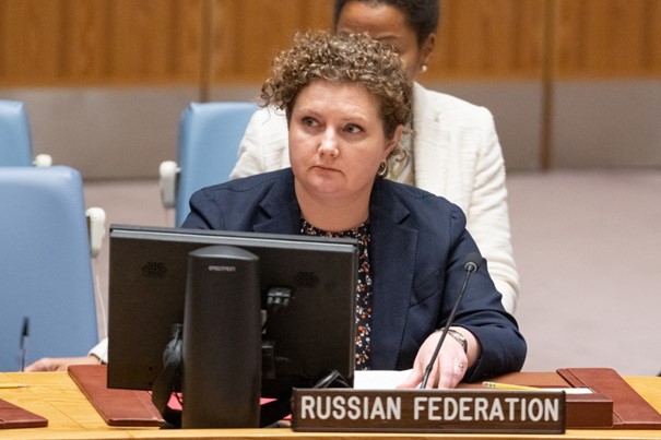 Russia supports Mali at the UN Security Council
