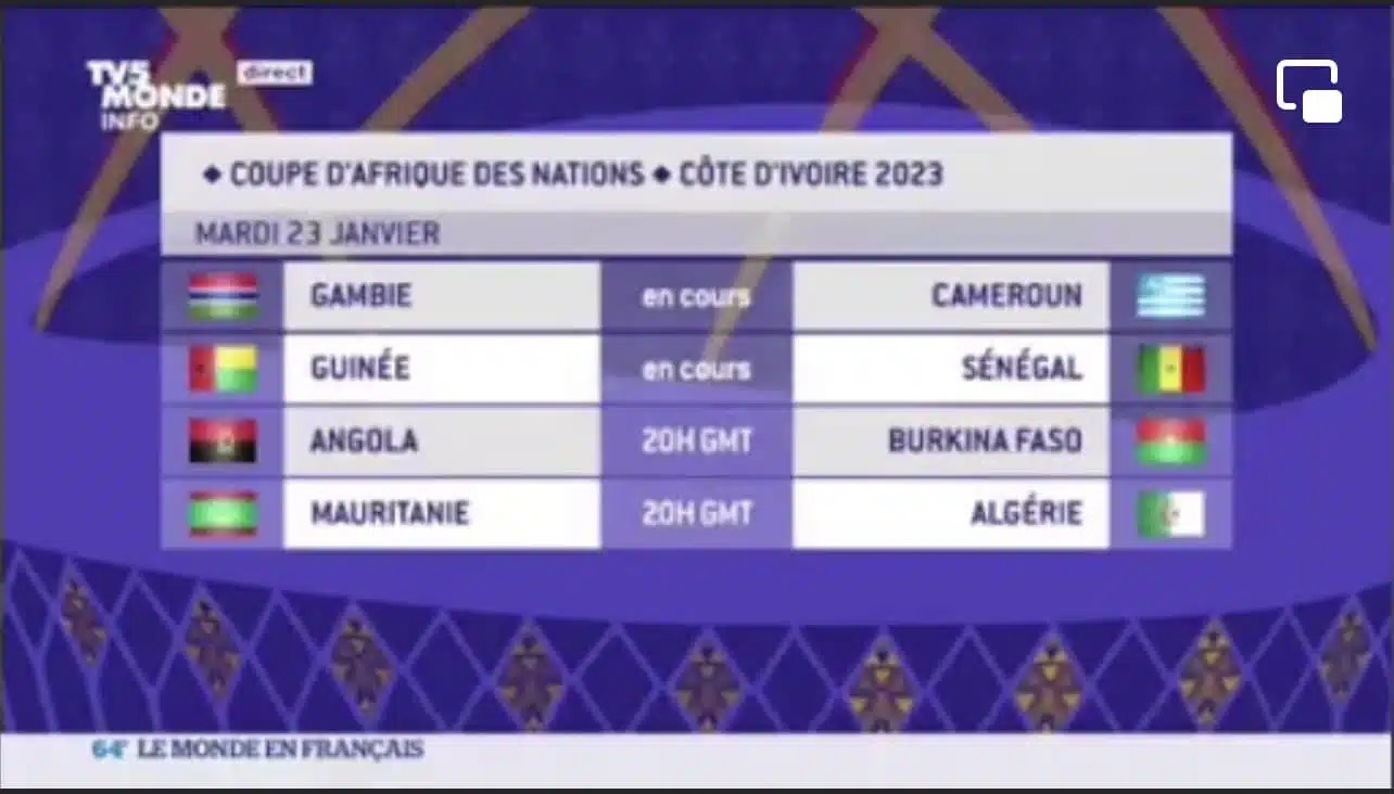 CAN 2023 : TV5 Monde met un drapeau de “l’Ambazonie” sécessionniste pour représenter le Cameroun