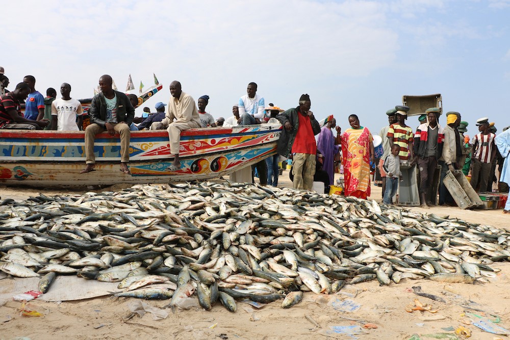 Senegalese fishermen in ‘gridlock’ at Dakar port