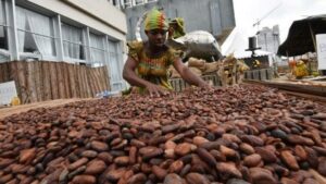 Les fèves de cacao représentent une partie importante des exportations